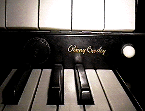 Penny Owsley logo